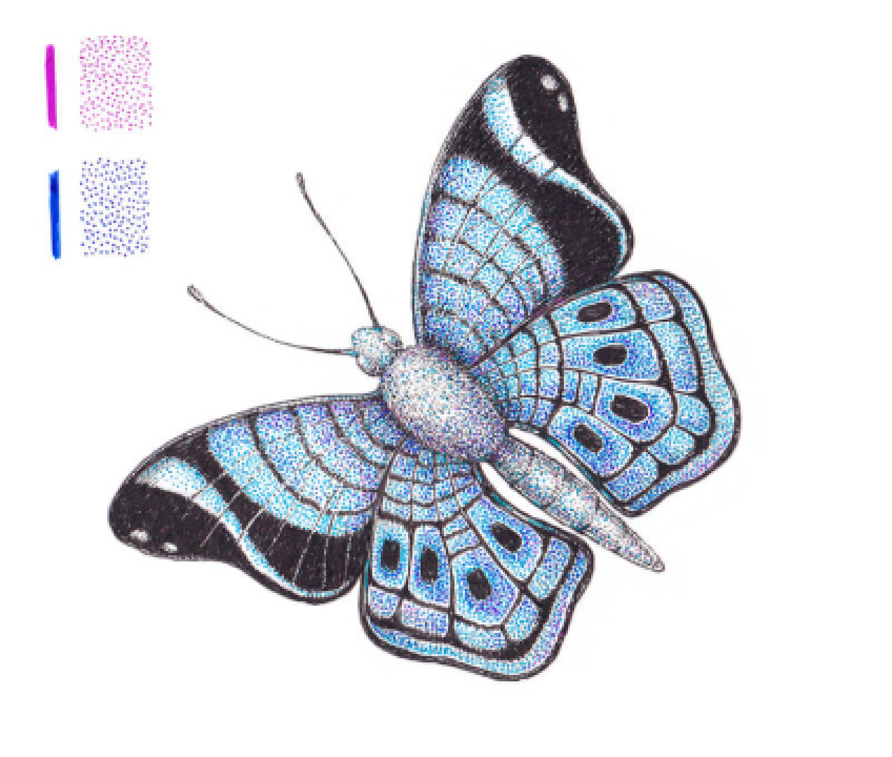 Come disegnare una bellissima farfalla?