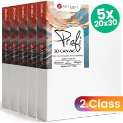 ARTMIE Set di tele 3D (5 pezzi) - 2ª qualità - 20x30 cm