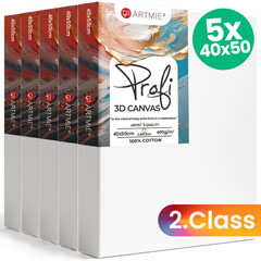ARTMIE Set di tele 3D - 5 pezzi - 2ª qualità - 40x50 cm