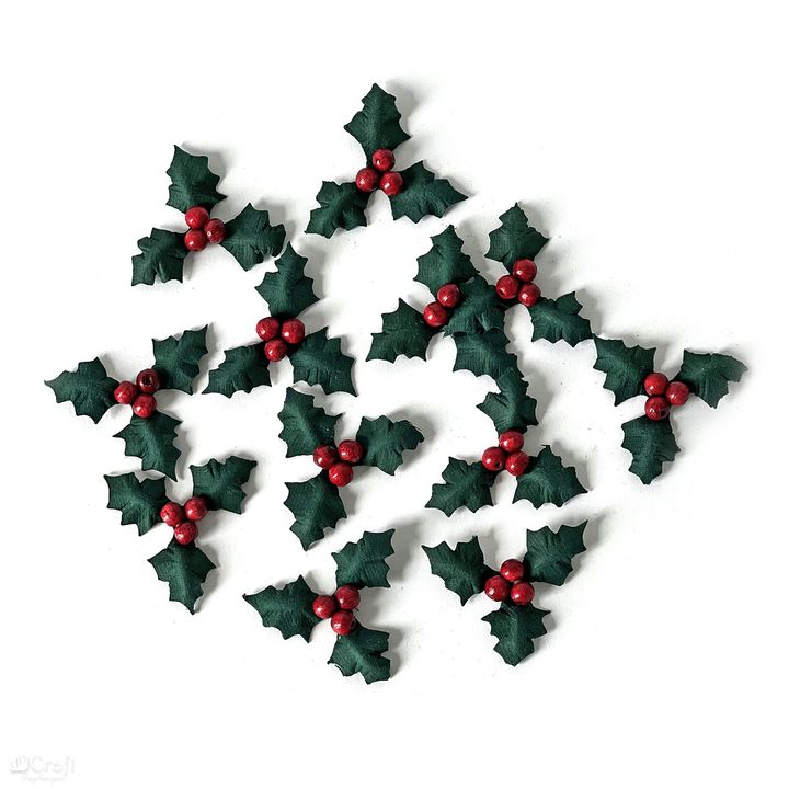 Fiori di carta 3D  | agrifoglio 12 pz