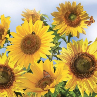 Tovaglioli per decoupage Sunflowers in the Sky - 1 pezzo