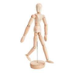Modello di corpo umano in legno