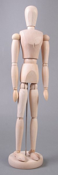 Modello di corpo umano in legno - maschile - 40 cm