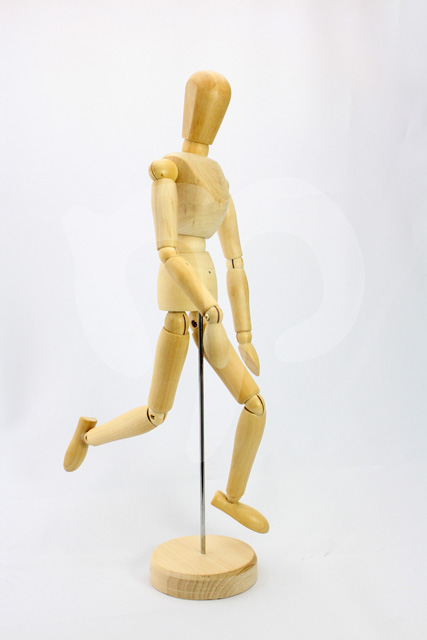 Modello di corpo umano in legno