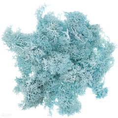 Muschio di renna naturale 30 g | scegli un colore