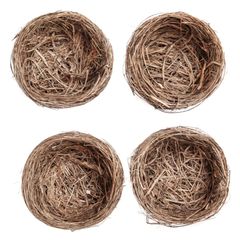 Nidi decorativi naturali 9 cm / set di 4