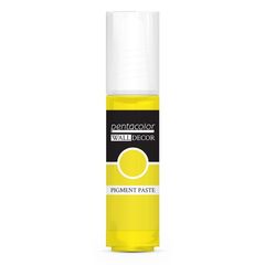Pasta pigmentata per decorazioni murali 20 ml | Varie tonalità