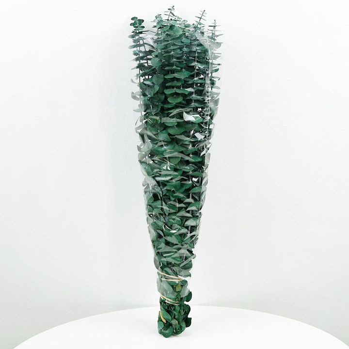 Piante essiccate per la produzione di sapone | Vari tipi e pesi | Eucalyptus 10g Piante essiccate per la produzione di sapone | Vari tipi e pesi | Eucalyptus 10g