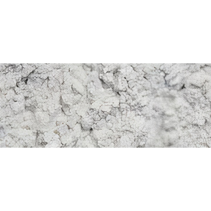 Pigmento in polvere Renesans 1000 g | pearl white