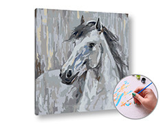 Pittura per numeri PICCIONE BIANCO | difficoltà bassa
