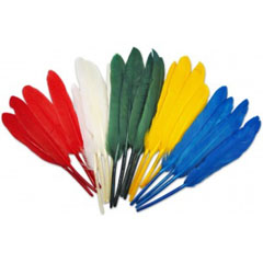 Piume indiane 10-17cm - 8 pezzi