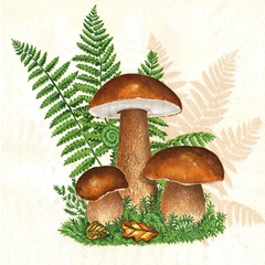 Tovaglioli per decoupage Boletus con Foglie di Felce - 1 pezzo