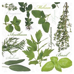 Tovagliolo per decoupage Herbs - 1 pz