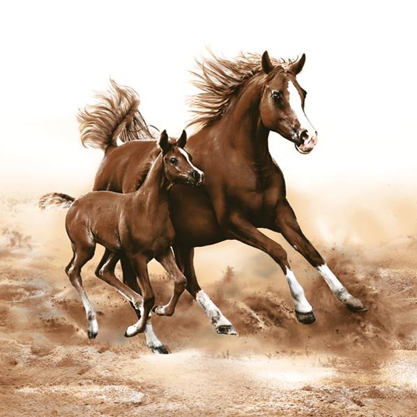 Tovagliolo per decoupage Horses - 1 pz (tovaglioli per)