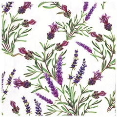 Tovagliolo per decoupage Lavender Twings - 1 pz